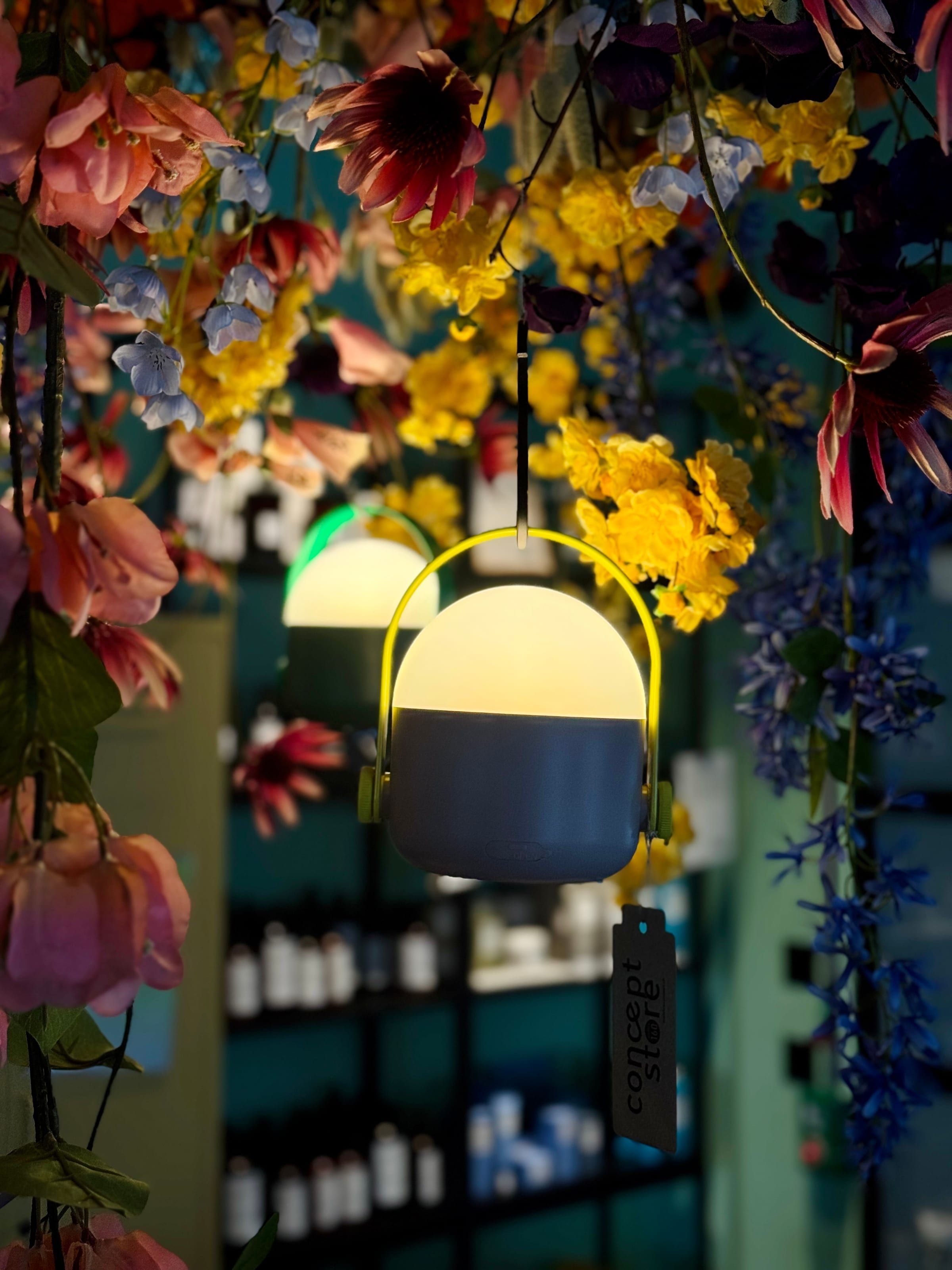 Maistra Concept Store — photo 3